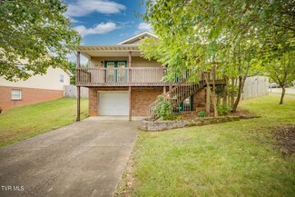 105 Phillip Drew Ct, Johnson City, TN 37604