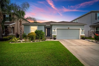 32747 Ansley Bloom Ln, Wesley Chapel, FL 33543