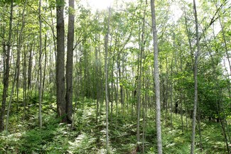 0 Chimarra Trail Unit 20 Acres, Grayling, MI 49738