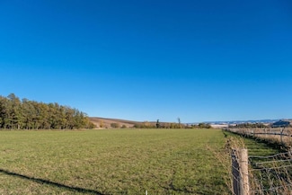 122 Heron Hollow Rd, Prescott, WA 99348
