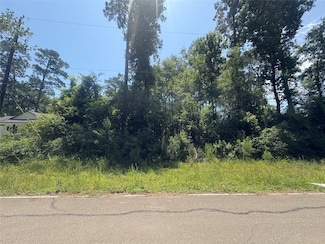 01 Overcup Dr, Creekwood Acres, TX 77389