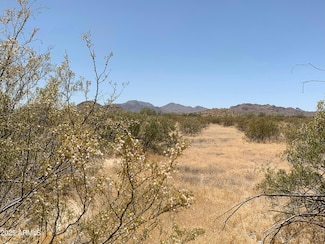 0001 W Whirly Bird Lot 1 Rd, Maricopa, AZ 85139