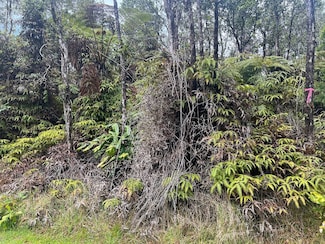 0 Ala Ohia St Unit 725987, Volcano, HI 96785