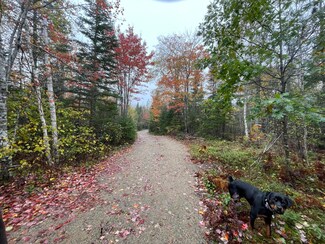 #24 Georgetown Woods Rd, Columbia, ME 04623