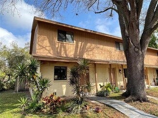 3923 Cedar Limb Ct, Tampa, FL 33614