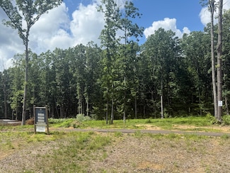 98 Bear Paw Trail, Signal Mountain, TN 37377