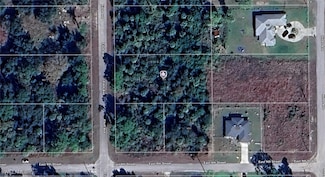 902 Fitch Ave, Lehigh Acres, FL 33972