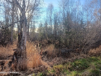 L2 S Gon Fishin Dr, Knik-Fairview, AK 99654