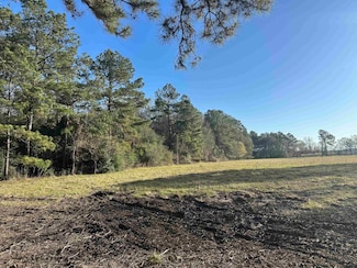 TBD Cr 3114, Buna, TX 77612