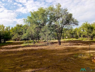 302 10th St, Springer, NM 87747