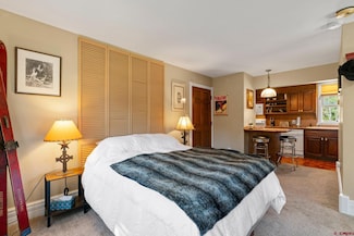 308 Silver Queen S Unit 101C, Durango, CO 81301