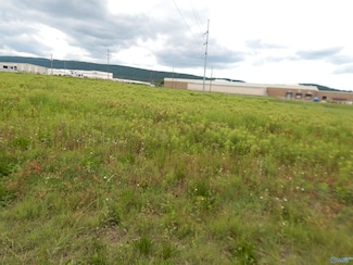 1.48 Acres Holman St, Leesburg, AL 35983