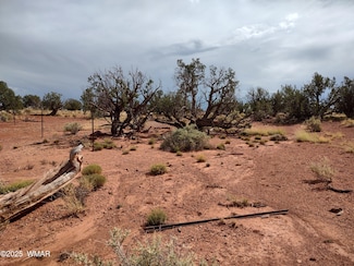 0 201-25-009 and 010a Unit 258440, Heber, AZ 85928