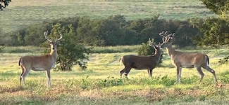 0000 Oklahoma 29, Foster, OK 73434