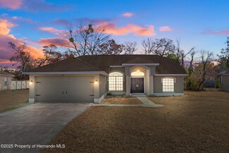 2124 Godfrey Ave, Spring Hill, FL 34609