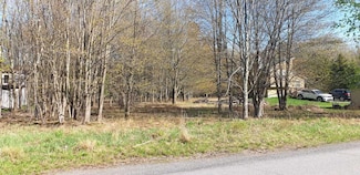 4065 Eagle Ct, Lake Township, PA 18436