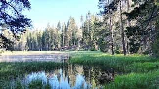 0 Forest 41 Rd Unit 225093875, Soda Springs, CA 95728