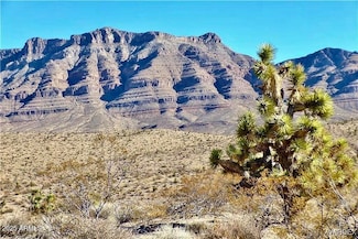 165 Ivy Ln Unit 165, Meadview, AZ 86444