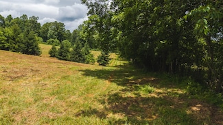0 Ferney Creek Rd Unit 918730, Willis, VA 24380