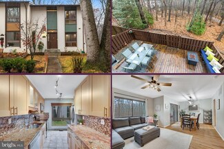 11938 Barrel Cooper Ct, Reston, VA 20191