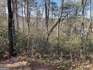 LOT 37 Whispering Dale, Clarkesville, GA 30523