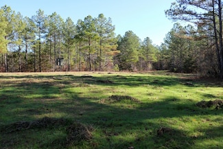 0 Tuscumbia Rd, Blue Springs, MS 38828