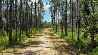 0 SW 844th St, Steinhatchee, FL 32359