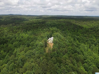 720 Good Hope Delta Rd, Delta, AL 36258