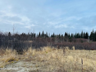 34191 Chapman St, Anchor Point, AK 99556