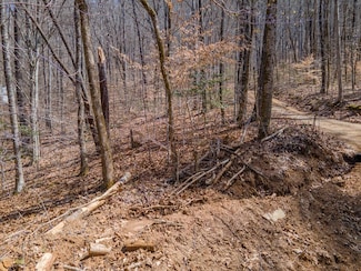 000 Corbin Hills Dr, Franklin, NC 28734