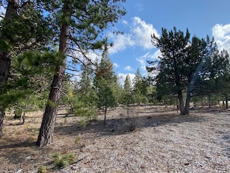 Lot 63 Hidden Meadow Dr, Weed, CA 96094