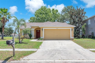 13437 Beechberry Dr, Riverview, FL 33579