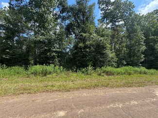 0 Mcrae Cir, Conroe, TX 77303