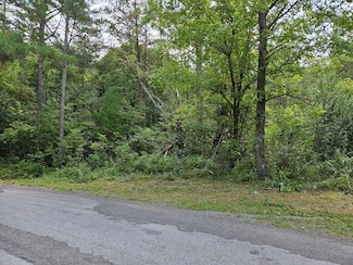 Lt.32 Belaire Dr, Copperhill, TN 37317