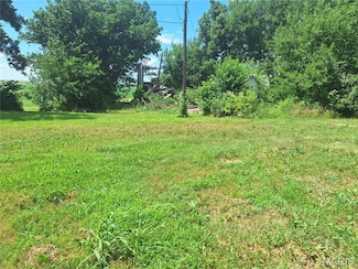 10325 Rose Rd, Saint Jacob, IL 62281