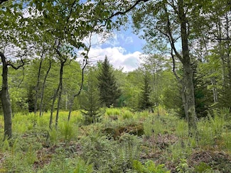 Lot 9 Chickadee Dr, Davis, WV 26260