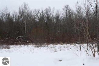 0 River Rd Unit 1722926, Benzonia, MI 49616