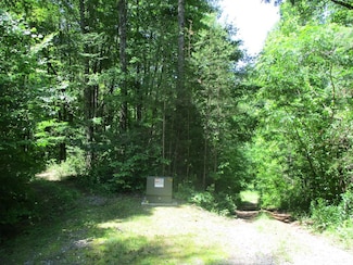 LT 38A Trillium Hgts Dr, Brasstown, NC 28902