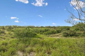 Fm 395, Crystal City, TX 78839