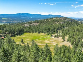 786X Arden Butte Rd, Colville, WA 99114