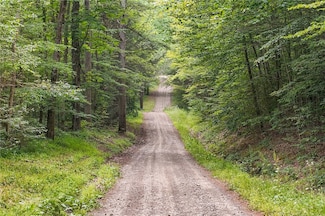 0 Chaffee Creek Rd, Newfield, NY 14867