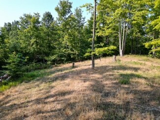 0 Lycans Branch Rd, Ona, WV 25545