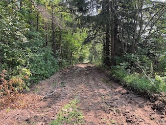 0 Allen Rd Unit S1629087, Sardinia, NY 14055