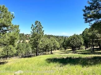 Lot 63 Eagle Ridge Rd, Alto, NM 88312