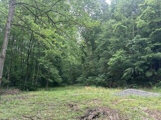 71210 Cox, Wilkesville, OH 45695