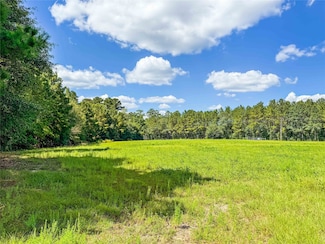 TBD Fm 1746, Woodville, TX 75979