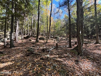 40 Constitution Way, Fort Ann, NY 12827