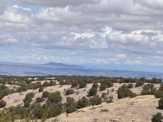 0 Lot 56 Pinon Springs Ranch, Magdalena, NM 87825