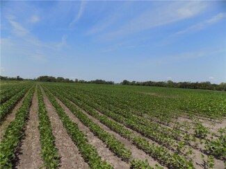 1650 Ellis Rd, Williamsburg, KS 66095