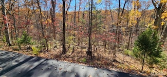 1713 Eleanor Ct, Lake Sherwood, MO 63357